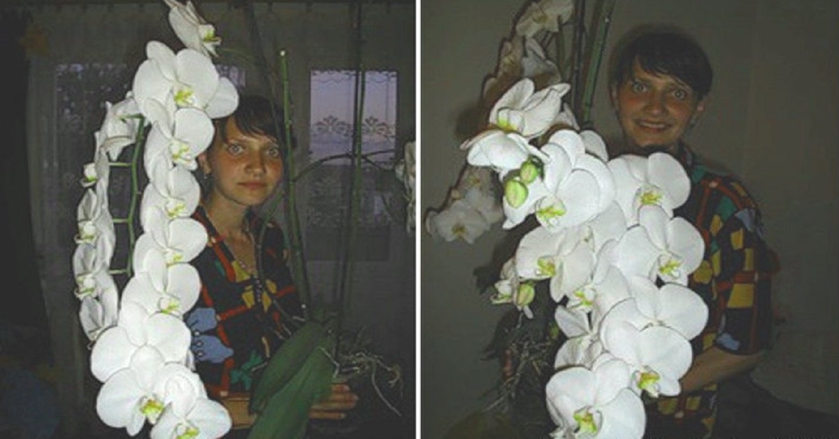 Augšana ir garantēta! Pārstādiet orhideju šajā maisījumā…