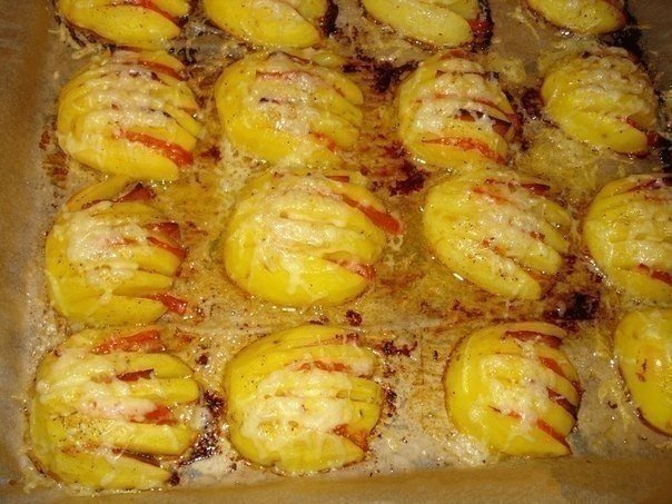 Apnicis ēst vārītus, ceptus kartupeļus? Izmēģini šo ”kartupeļu gliemežvāki” recepti!