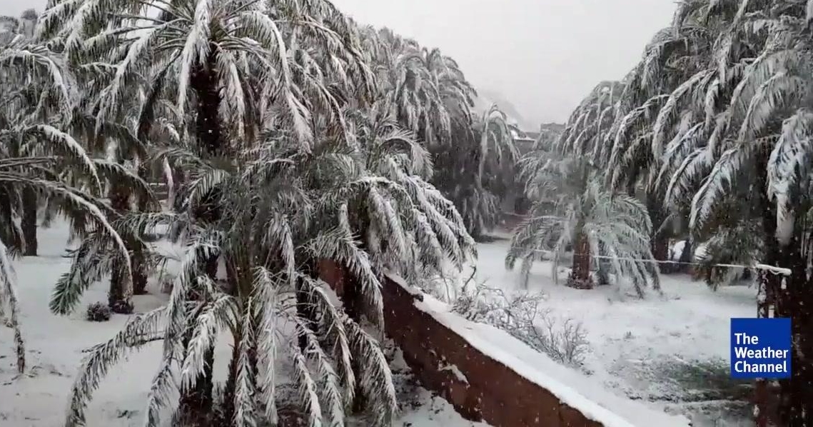 Marokā apsnigušas palmas – kas tāds nav pieredzēts vismaz pēdējo 50 gadu laikā