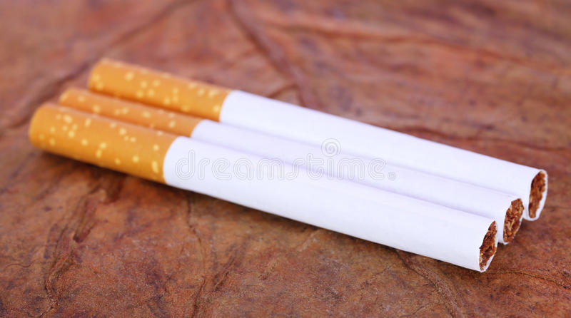 Mūsdienu cigarešu filtri tiek veidoti no stikla vates – tā pakāpeniski iznīcina cilvēka plaušas