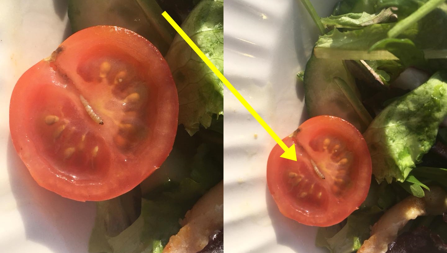 Ja iegādājies lielveikalā ķiršu tomātiņus, tad pārliecinies, ka tajos nav nelūgtu viesu – TĀRPU