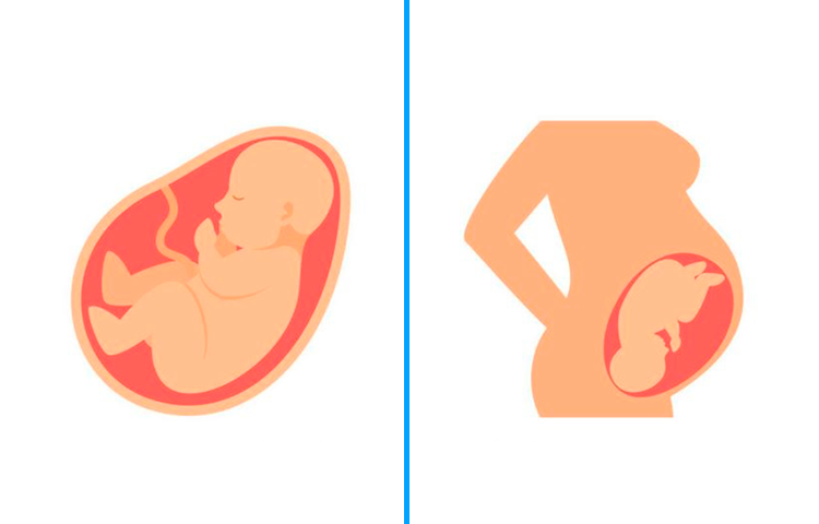 8 neparasti fakti par grūtniecību, kurus nezina pat topošās māmiņas