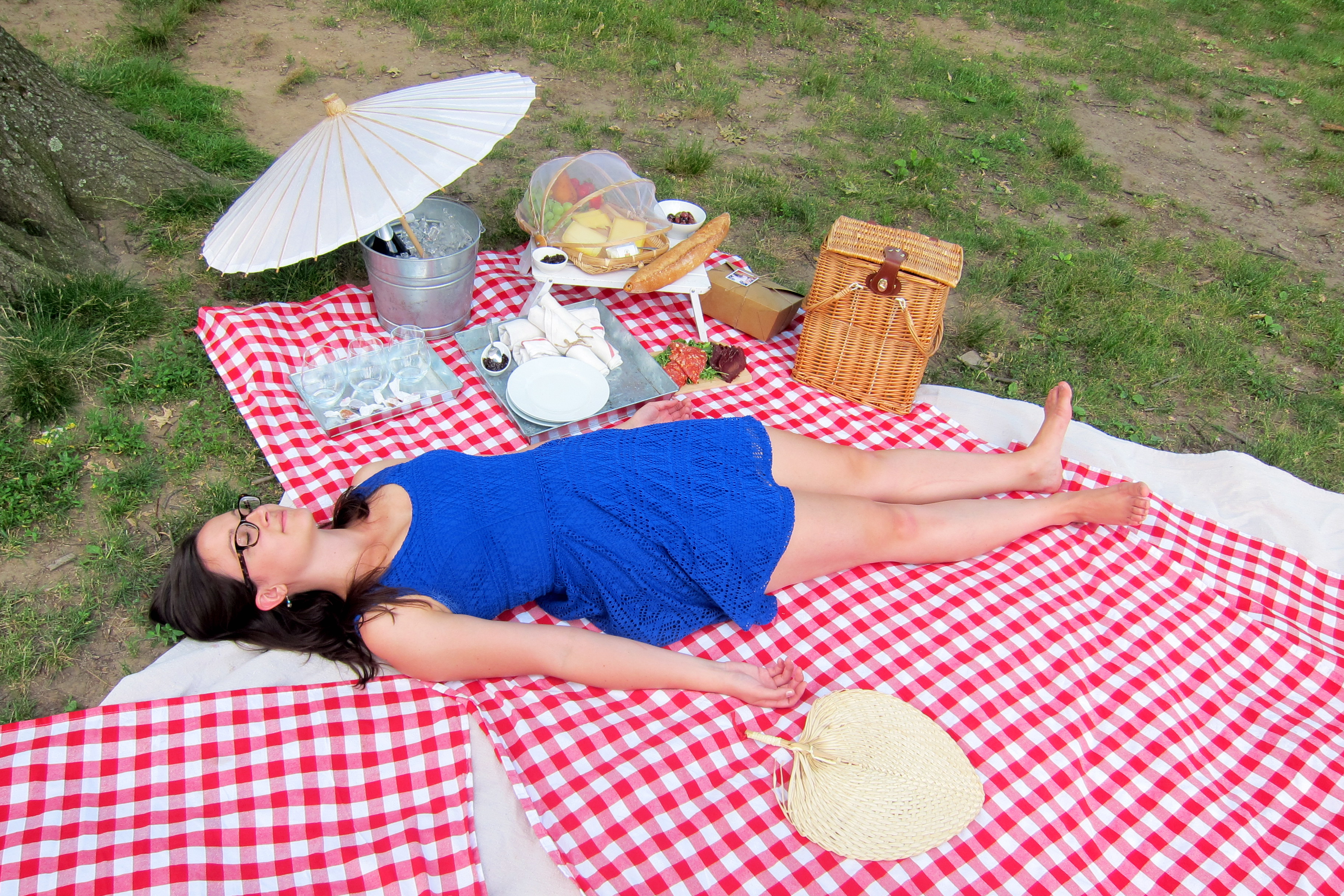 Бабы на пикнике. Женщина на пикнике. Женщины отдыхающие на пикнике. Отдыхаем на даче. Пикник.