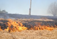 Latvijas Ugunsdzēsības asociācijas vadītājs aicina mazināt kūlas degšanu, uzliekot bargus sodus zemes īpašniekiem