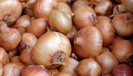 Piecas neparastas sīpolu īpašības, kas var noderēt ikdienā