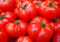 Ko darīt, ja veikalā esat iegādājies bezgaršīgus tomātus: svētku uzkodas glābšana