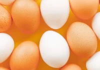 Kā brūnās olas patiesībā atšķiras no baltajām olām: negaidīta atbilde