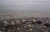 FOTO. Ko tādu nebūsiet redzējuši! Rīgas līča pludmalē novērota ļoti reta dabas parādība: skaidro Toms Bricis